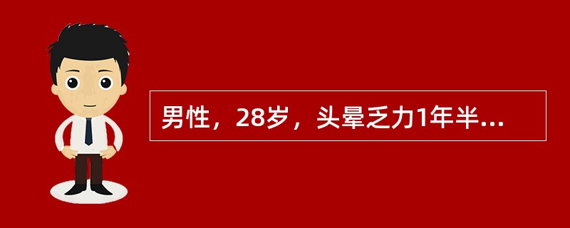 男性，28岁，头晕乏力1年半，皮肤散在出血点，血象HGB65g／L，RBC2×1