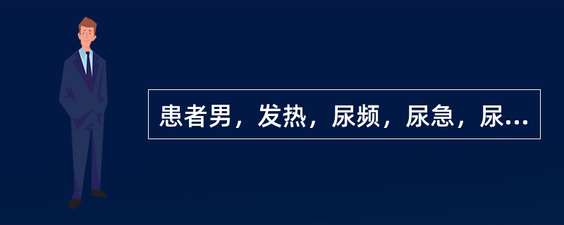 患者男，发热，尿频，尿急，尿痛。该患者腹部查体下列部位可有压痛点的是（）