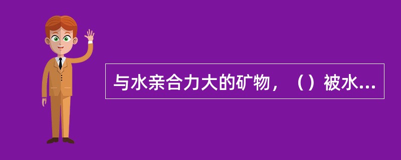 与水亲合力大的矿物，（）被水润湿。