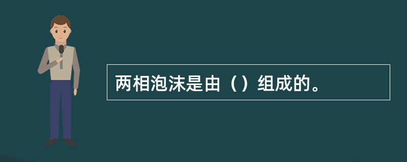 两相泡沫是由（）组成的。