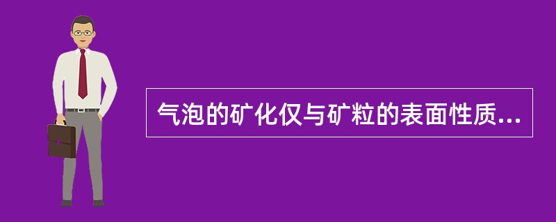 气泡的矿化仅与矿粒的表面性质有关，与气泡的大小、浮选机槽内浮选煤浆的流动状态等无