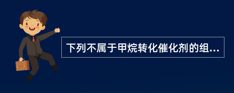 下列不属于甲烷转化催化剂的组成是（）