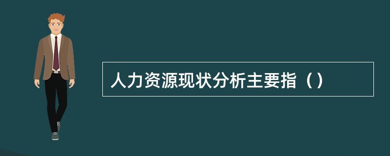 人力资源现状分析主要指（）