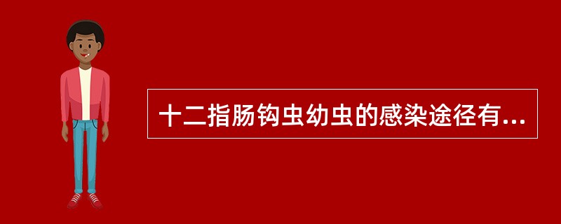 十二指肠钩虫幼虫的感染途径有（）
