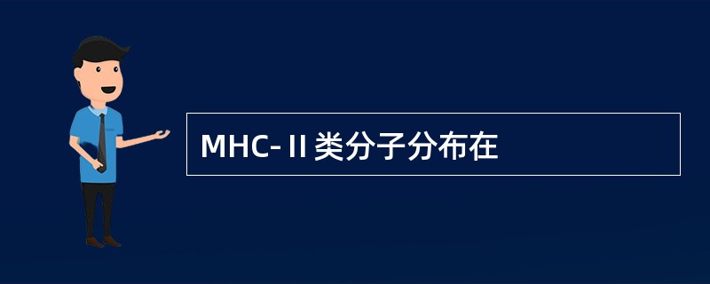 MHC-Ⅱ类分子分布在