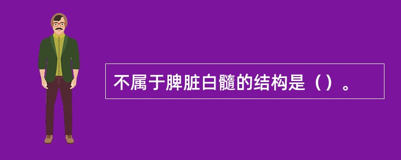 不属于脾脏白髓的结构是（）。