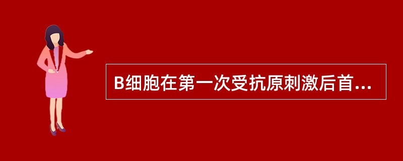 B细胞在第一次受抗原刺激后首先产生的抗体是