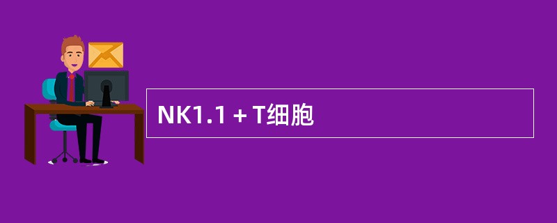 NK1.1＋T细胞