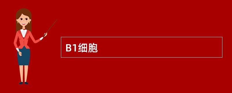 B1细胞