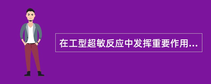 在工型超敏反应中发挥重要作用的抗体类型是