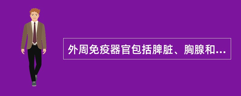 外周免疫器官包括脾脏、胸腺和淋巴结。