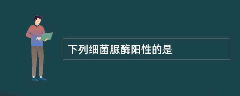 下列细菌脲酶阳性的是