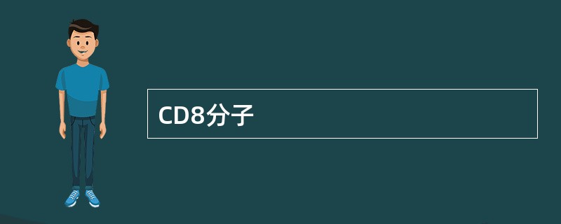 CD8分子