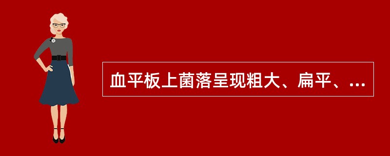 血平板上菌落呈现粗大、扁平、湿润的有金属光泽的菌落，有生姜味及透明溶血环，氧化酶