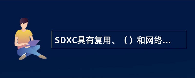 SDXC具有复用、（）和网络管理等功能。