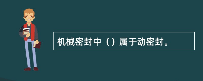 机械密封中（）属于动密封。