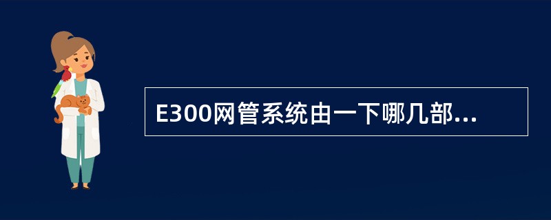 E300网管系统由一下哪几部分组成（）.