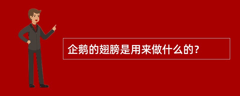 企鹅的翅膀是用来做什么的？