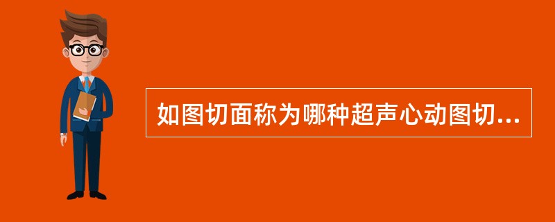 如图切面称为哪种超声心动图切面（）。