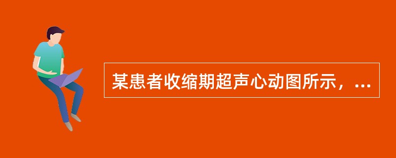 某患者收缩期超声心动图所示，提示（）。