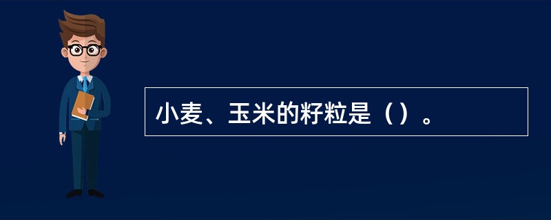小麦、玉米的籽粒是（）。