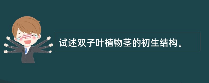 试述双子叶植物茎的初生结构。