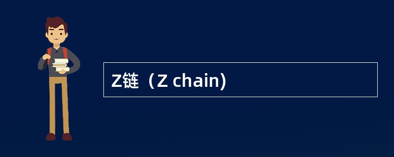 Z链（Z chain)