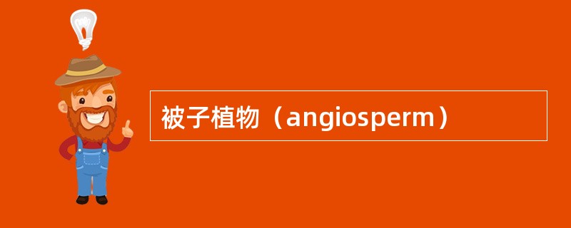 被子植物（angiosperm）