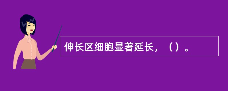 伸长区细胞显著延长，（）。