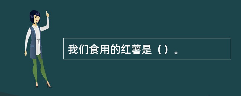 我们食用的红薯是（）。