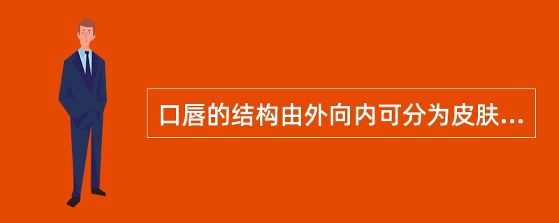 口唇的结构由外向内可分为皮肤、（）、肌层、（）和黏膜。