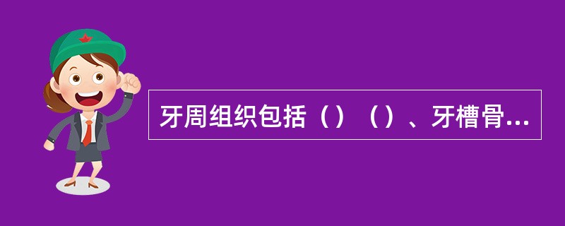 牙周组织包括（）（）、牙槽骨3部分。