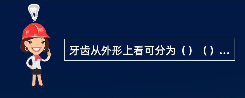 牙齿从外形上看可分为（）（）、牙颈3部分。