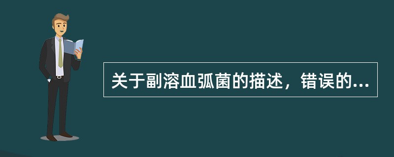 关于副溶血弧菌的描述，错误的是（）
