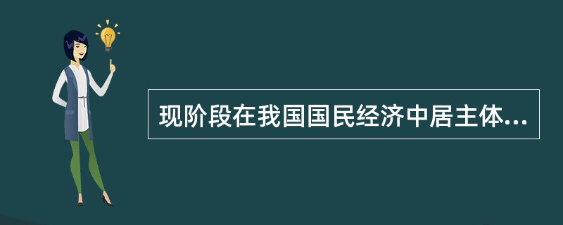 现阶段在我国国民经济中居主体地位的经济成分是（）。