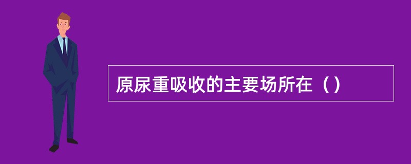 原尿重吸收的主要场所在（）