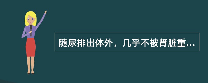 随尿排出体外，几乎不被肾脏重吸收的物质是（）