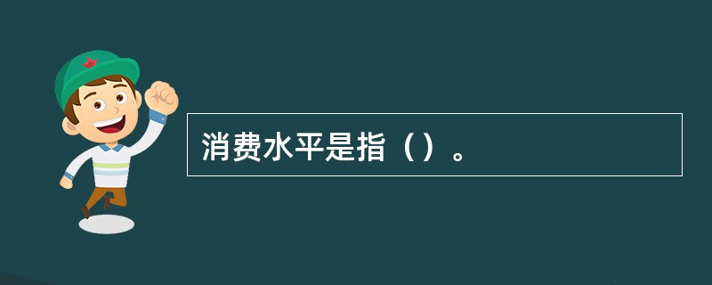 消费水平是指（）。