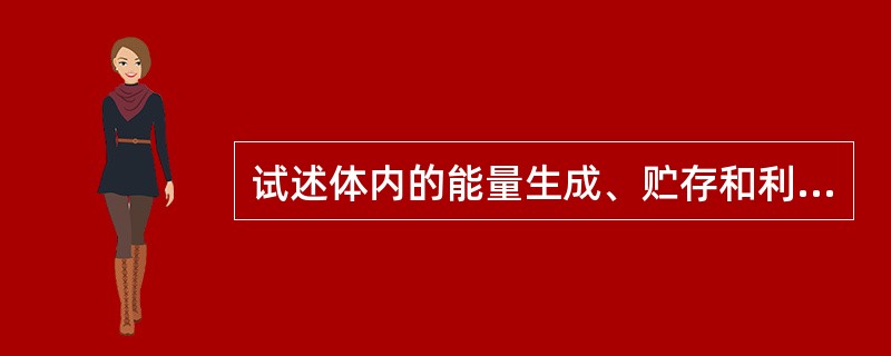 试述体内的能量生成、贮存和利用？