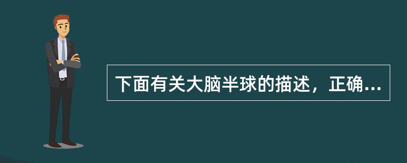 下面有关大脑半球的描述，正确的为（）