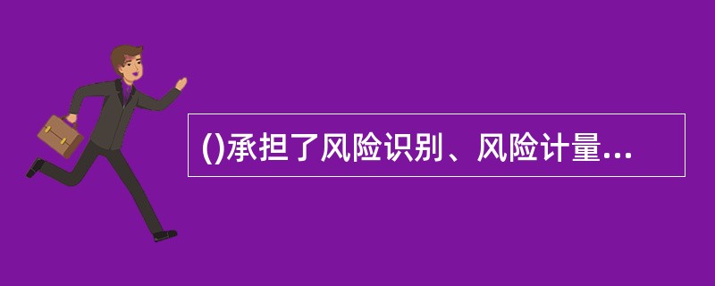 ()承担了风险识别、风险计量、风险监测的重要职责，而各级风险管理委员会承担风险控