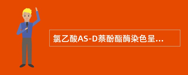 氯乙酸AS-D萘酚酯酶染色呈阳性（）.