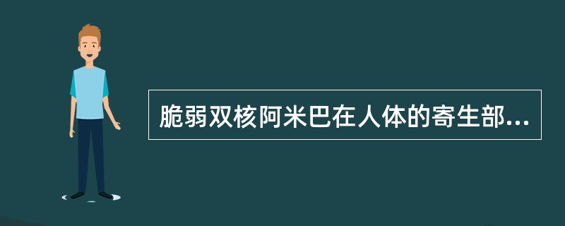 脆弱双核阿米巴在人体的寄生部位为（）