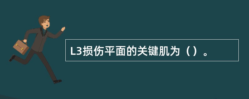 L3损伤平面的关键肌为（）。