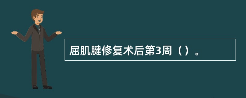 屈肌腱修复术后第3周（）。