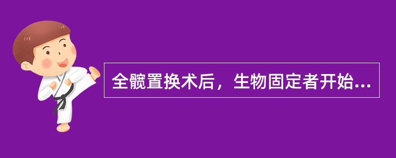全髋置换术后，生物固定者开始步行训练的时间是（）。