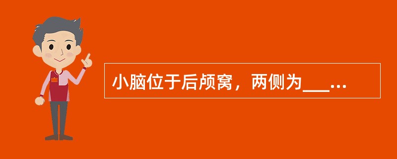 小脑位于后颅窝，两侧为_____________，中间为____________