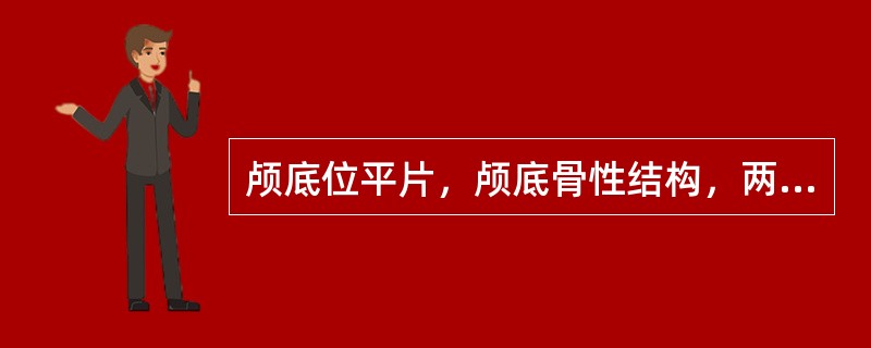 颅底位平片，颅底骨性结构，两侧对称。