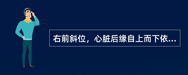 右前斜位，心脏后缘自上而下依次为()