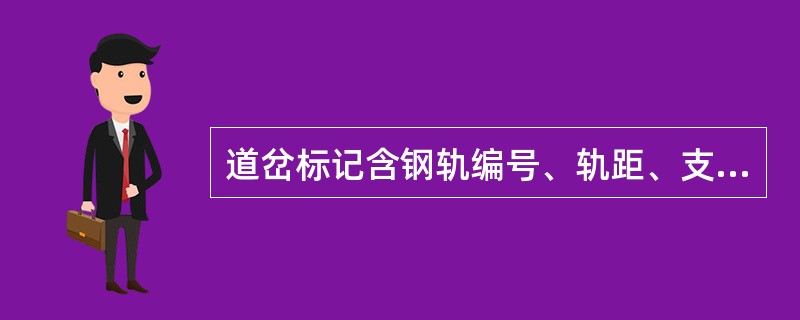 道岔标记含钢轨编号、轨距、支距、钢轨伤损等标记。